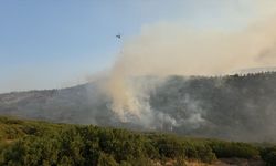 SON DAKİKA: Manisa Kula'daki orman yangınına havadan ve karadan müdahale sürüyor