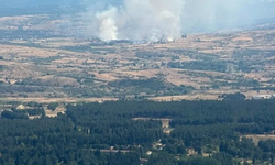 Balıkesir Altıeylül'de arazi yangını: Ekipler alevlere müdahale ediyor