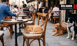 Kafe ve restoranlarda evcil hayvan kısıtlaması taslağına Dört Ayaklı Şehir'den tepki