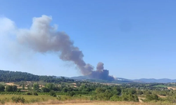 Çanakkale Bayramiç'te orman yangını: Bölgeye ekipler sevk edildi