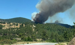 Çanakkale'de yangın önlemi: Biçerdöver ve balya makinelerinin kullanımı 3 gün durduruldu