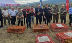 Erbaa’da “kenesavar” timi sahada: 1500 keklik ve sülün doğaya salındı