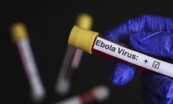 DSÖ: Kongo Demokratik Cumhuriyeti'ne 70 bin doz Ebola aşısı gönderilecek
