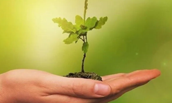 Eğitim yapılarında enerji ve su verimliliği için yeni işbirliği yapıldı