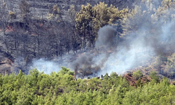 Muğla'da yangın sonrası inceleme: Fethiye'de hasar tespit çalışmaları sürüyor