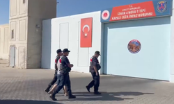2 ilde göçmen kaçakçılığı operasyonu: 132 düzensiz göçmen yakalandı