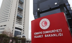 Ticaret Bakanlığı: Gümrüklerde 7 ayda 71,9 milyar liralık kaçak eşya yakalandı