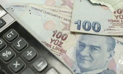 Hazine ve Maliye Bakanlığı: İki tahvil ihalesinde borçlanma 101,7 milyar liraya ulaştı