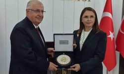 'Çerçeve yasa' hakkında konuşan Bakan Güler: "İç cephemizi tahkim eden bir adım"
