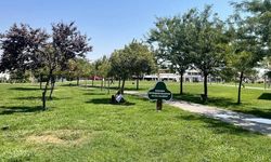 Şanlıurfa'da termometreler 46 dereceyi gösterdi