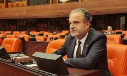 EMEP'li Bayhan 'çerçeve yasa'da değiştirilmesi gereken düzenlemeler olduğunu belirtti