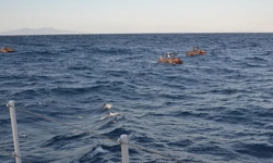 İzmir Seferihisar'da düzensiz göç operasyonu: 34 göçmen yakalandı