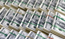 Merkez Bankası rezervlerinde 14 Ağustos haftasında 5,1 milyar dolarlık artış