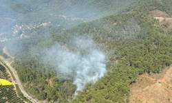 Muğla'da orman yangınları: Tarım alanlarında hasar tespit çalışmaları devam ediyor