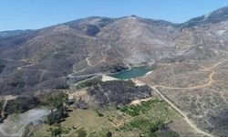 Edirne, Kırklareli ve Tekirdağ'da çıkan orman yangınlarında 32 hektar alan zarar gördü
