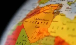 Cezayir'de orman yangınlarını çıkaranlara idam cezası talimatı