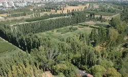 Resmi Gazete'de yayımlandı: Atatürk Orman Çiftliği'ne ait iki taşınmaz kiraya verilecek