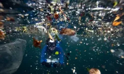 Türkiye Plastik Atık Çalıştayı 31 Ağustos'ta İstanbul'da düzenlenecek
