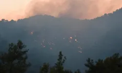 Antalya Kemer'deki orman yangını kontrol altına alındı