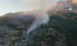 Tunceli Munzur Vadisi Milli Parkı'ndaki orman yangını kontrol altına alındı