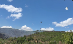 Son dakika...  Kocaeli Gebze'de kent ormanında yangın
