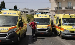 Yunanistan'da Batı Nil virüsü alarmı: Bir haftada 45 yeni vaka