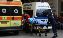 Yunanistan’da Batı Nil virüsü: Bir haftada 6 kişi yaşamını yitirdi