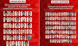 76 aranan suçlu Türkiye'ye iade edildi: 29'u kırmızı bültenle aranıyordu