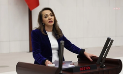 CHP'li İlgezdi, köprü ve otoyol özelleştirilmesini Bakanı Şimşek'e sordu