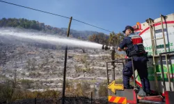 DMM, orman yangınları için "yetersiz müdahale" iddialarını yalanladı