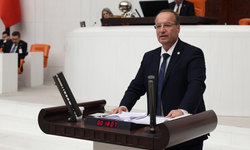 CHP'li Akay'dan fon tasfiyesine ilişkin yeni iddia