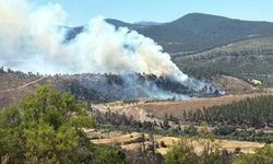 Bursa’da anız yangını ormana sıçradı