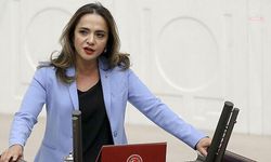 CHP'li İlgezdi’den Bakan Yumaklı’ya 'ucuz et' çıkışı: "Hangi kasaba ucuz et verdiğinizi açıklayın"