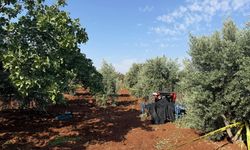Kilis'te traktör kazası: Sürücü hayatını kaybetti