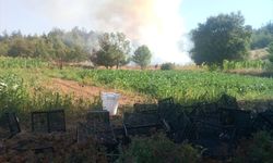 SON DAKİKA: Bursa Kestel'deki yangına havadan ve karadan müdahale sürüyor