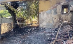 Antalya Serik'te orman yangını bilançosu: Evler ve tarım alanları zarar gördü