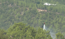 Antalya Serik'te orman yangını: Alevler büyük ölçüde kontrol altına alındı