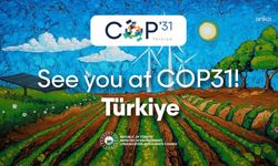Türkiye COP31'e hazırlanıyor: Zirvenin gündeminde iklim finansmanı ve enerji dönüşümü var