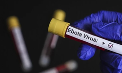 DSÖ: KDC'nin bazı bölgelerinde Ebola vaka sayıları yüksekliğini koruyor
