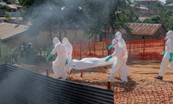 KDC’de Ebola salgını artıyor: Vaka sayısı 7 bin 404 oldu