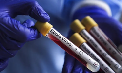 KDC’de Ebola salgını büyüyor: WFP daha fazla kaynak talep etti