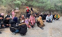 Seferihisar’da 37 kaçak göçmen yakalandı: Kamyonet sürücüsü tutuklandı
