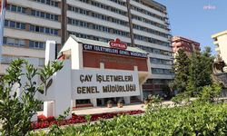 Mahkemeden ÇAYKUR’un yaş çay ihalelerine iptal kararı