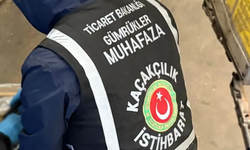 Ticaret Bakanlığı: İki gümrük kapısında 7 bin 160 kültür varlığı ele geçirildi