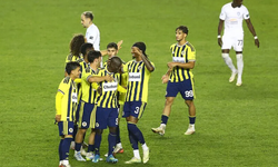 Fenerbahçe, Turan Tovuz karşısında 2-0 kazandı