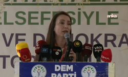 DEM Partili Hatimoğulları'ndan cezaevindeki siyasetçilerin serbest bırakılması için çağrı
