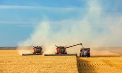 Hasat dönemi hareketlendi: Şeker pancarı ve ayçiçeğinde son durum
