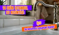 İstanbul su arızası sorgulama: İlçe ve mahalle bilgileri nasıl öğrenilir? 14 Ekim İSKİ su kesintisi sorgulama ekranı