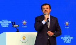 Fon krizine ilişkin AKP'li Nihat Zeybekci: 6 kamu kurumunun ihmali ve suistimali var