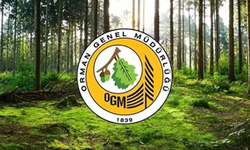 Orman Genel Müdürlüğü: 12 müfettiş yardımcısı alınacak